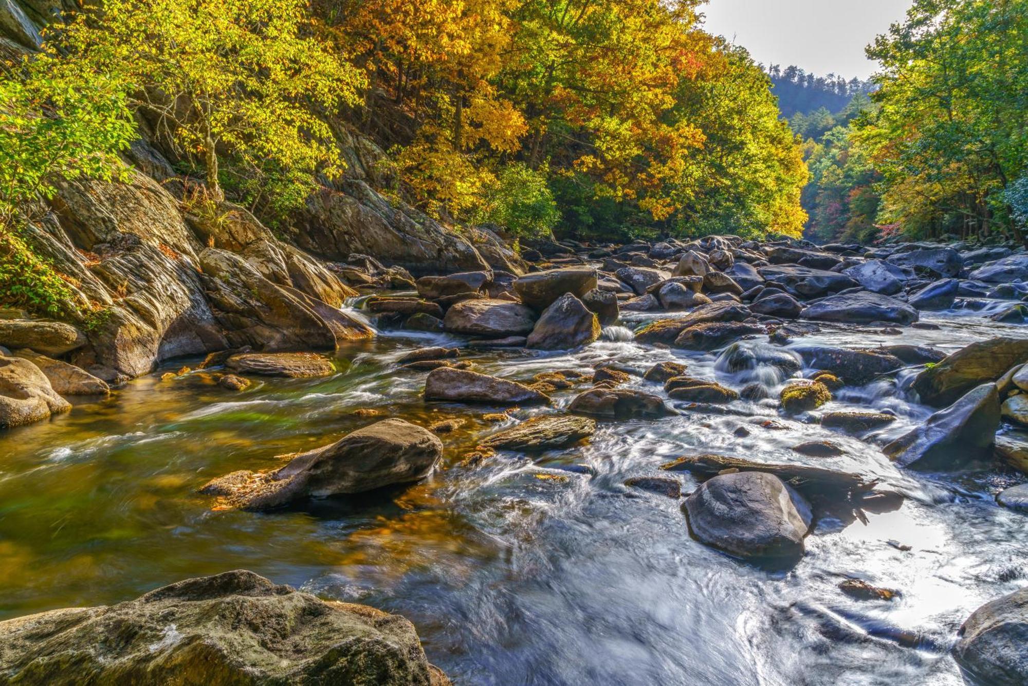 Rocky Top Lookout Gatlinburg Ruang foto